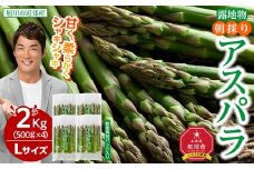 【2026年先行予約】朝採りアスパラ Lサイズ 2kg（500g×4）鮮度保持パック入り 旭川近郊産 露地物(5月中旬発送開始予定) 【 アスパラ アスパラガス 朝採り とれたて 野菜 旬 小分け 保存 産直 産地直送 お取り寄せ 旭川市 北海道 送料無料 】_01591