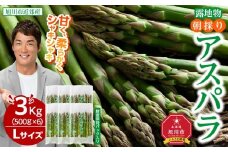 【2026年先行予約】朝採りアスパラ Lサイズ 3kg（500g×6）鮮度保持パック入り 旭川近郊産 露地物(5月中旬発送開始予定) 【 アスパラ アスパラガス 朝採り とれたて 野菜 旬 小分け 保存 産直 産地直送 お取り寄せ 旭川市 北海道 】_01592