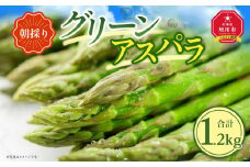 【先行予約】朝採り グリーンアスパラ M～2L 1.2kg (2026年5月下旬発送開始予定) 【 アスパラ アスパラガス 朝採り とれたて 野菜 旬 小分け 保存 産直 産地直送 お取り寄せ 旭川市 北海道 】_01705