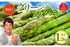 【先行予約】朝採り グリーンアスパラ M～2L 1.2kg (2026年5月下旬発送開始予定) 【 アスパラ アスパラガス 朝採り とれたて 野菜 旬 小分け 保存 産直 産地直送 お取り寄せ 旭川市 北海道 】_01705