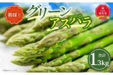 【先行予約】朝採り グリーンアスパラ L 1.3kg (2026年5月下旬発送開始) 【 アスパラ アスパラガス グリーンアスパラ 【先行予約】朝採り 直送 産地直送 旬 春 北海道 とれたて お取り寄せ 冷蔵配送 冷蔵 旭川市 】_01706