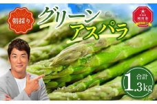 【先行予約】朝採り グリーンアスパラ L 1.3kg (2026年5月下旬発送開始) 【 アスパラ アスパラガス グリーンアスパラ 【先行予約】朝採り 直送 産地直送 旬 春 北海道 とれたて お取り寄せ 冷蔵配送 冷蔵 旭川市 】_01706
