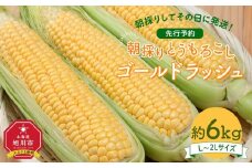 【先行予約】朝採り とうもろこし ゴールドラッシュ 約6kg (L～2Lサイズ×15本) (2025年8月下旬発送予定) 【 人気 北海道産 糖度 生 野菜 スイートコーン 産地直送 バーベキュー BBQ コーン 旬 お取り寄せ 旭川市 北海道 】_01707