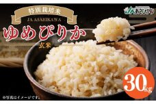 特別栽培米 ゆめぴりか 玄米 30kg 令和6年産 【ご飯 ごはん 米 お米 北海道産 旬  特A 旭川市 北海道 】_00236