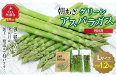 旭川産朝もぎ！グリーンアスパラガスLサイズ1.2kg(2025年5月中旬発送開始予定)_01941