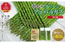 旭川産朝もぎ！グリーンアスパラガスL・Mサイズ各400g　合計800g(2025年5月中旬発送開始予定)_01942
