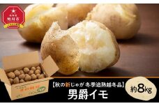 【先行予約】冬季追熟 越冬品 男爵イモ 約8kg（2026年1月中旬～発送予定）北海道産じゃがいも ジャガイモ 【 じゃがいも いも イモ 芋 野菜 産地直送 旬 お取り寄せ 旭川市 北海道 】_01986
