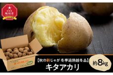 【先行予約】冬季追熟 越冬品 キタアカリ 約8kg（2026年1月中旬～発送予定）北海道産じゃがいも ジャガイモ 【 じゃがいも いも イモ 芋 野菜 産地直送 旬 お取り寄せ 旭川市 北海道 】_01987