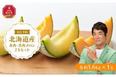 北海道産赤肉・青肉メロン2玉セット(各約1.6kg×1玉) (2025年7月中旬から発送予定) 【メロン 赤肉 赤肉メロン 青肉 レッドメロン グリーンメロン 果物 フルーツ 糖度 甘い 旬 2玉 デザート 旭川市ふるさと納税 北海道ふるさと納税 旭川市 北海道】_02062