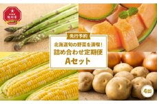 【先行予約】北海道旬の野菜を満喫！詰め合わせ定期便Aセット(4回)_02067