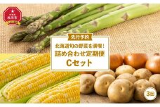 【先行予約】北海道旬の野菜を満喫！詰め合わせ定期便Cセット(3回)_02069