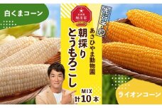 【先行予約】朝採りとうもろこしMIX10本 4.5kg あさひやま動物園 白くまコーンとライオンコーンのミックス（2025年8月中旬より発送予定） 【 とうもろこし 人気 北海道 糖度 野菜 白いとうもろこし 白いスイートコーン 産地直送 ホワイトレディ ゴールドラッシュ コーン 玉蜀黍 旬 お取り寄せ 旭川市 北海道 】_02157