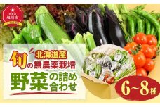 《先行予約》【地元雑誌で紹介】【北海道旭川産】旬の野菜詰め合わせ[6～8種類](栽培期間中農薬不使用・化学肥料不使用) 【 ズッキーニ なす トマト きゅうり ししとう なんばん オクラ カボチャ じゃがいも にんじん 北海道産 無農薬栽培 野菜セット 季節の野菜 新鮮 お取り寄せ 野菜ボックス 安全 安心 野菜直送 人気 旭川市 】_02944