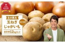 【先行予約】北の恵み玉ねぎ・じゃがいも 合計約12kgセット（2025年9月末より発送予定）【 芋 玉葱 野菜 産地直送 旬 お取り寄せ 詰め合わせ 旭川市 北海道 】_02066