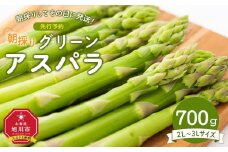 朝採り グリーンアスパラ 2L～3L 700g (2025年5月下旬発送予定)_03900