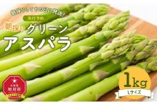 【先行予約】朝採り グリーンアスパラ L 1kg (2026年5月下旬発送開始) 【 アスパラ アスパラガス グリーンアスパラ 【先行予約】朝採り 直送 産地直送 旬 春 北海道 とれたて お取り寄せ 冷蔵配送 冷蔵 旭川市 】_03901