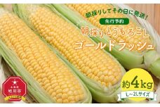 【先行予約】朝採り とうもろこし ゴールドラッシュ 約4kg (L～2Lサイズ×10本) (2025年8月下旬発送予定) 【 人気 北海道産 糖度 生 野菜 スイートコーン 産地直送 バーベキュー BBQ コーン 旬 お取り寄せ 旭川市 北海道 】_03902