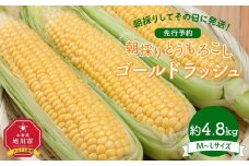 【先行予約】朝採り とうもろこし ゴールドラッシュ 約4.8kg (M～Lサイズ×15本)(2025年8月下旬発送予定) 【 人気 北海道産 糖度 生 野菜 スイートコーン 産地直送 バーベキュー BBQ コーン 旬 お取り寄せ 旭川市 北海道 】_03903