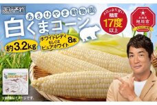【先行予約】あさひやま動物園しろくまコーン約3.2kg(ホワイトレディもしくはピュアホワイト8本)2025年8月下旬～発送開始予定 【 とうもろこし 人気 北海道 糖度 野菜 白いとうもろこし 白いスイートコーン 産地直送 ホワイトレディ コーン 玉蜀黍 旬 お取り寄せ 旭川市 北海道 】　_03811