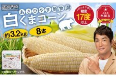 【26年発送先行予約】あさひやま動物園しろくまコーン 8本（約3.2kg）2026年8月下旬から発送開始予定 【 とうもろこし 人気 北海道 糖度 野菜 白いとうもろこし 白いスイートコーン 産地直送 ホワイトレディ コーン 玉蜀黍 旬 お取り寄せ 旭川市 北海道 】　_03811
