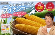 【先行予約】あさひやま動物園ライオンコーン約3.2kg(ゴールドラッシュ8本)2025年8月下旬～発送開始予定 【 とうもろこし 人気 北海道 糖度 野菜 スイートコーン 産地直送 ゴールドラッシュ コーン 旬 お取り寄せ 旭川市 北海道 】_03812