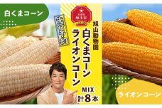 【先行予約】旭山動物園　白くまコーン4本　ライオンコーン4本　MIX　合計8本 【 とうもろこし 人気 北海道 糖度 野菜 白いとうもろこし 白いスイートコーン 産地直送 ホワイトレディ ゴールドラッシュ コーン 玉蜀黍 旬 お取り寄せ 旭川市 北海道 】_03815