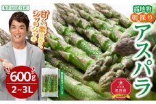 【2026年先行予約】露地物朝採りアスパラ　鮮度保持フィルム入り　2～3L　600g(5月中旬発送開始予定) 【 アスパラ アスパラガス 朝採り とれたて 野菜 旬 小分け 保存 産直 産地直送 お取り寄せ 旭川市 北海道 】_03816
