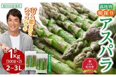 【2026年先行予約】露地物朝採りアスパラ　鮮度保持フィルム入り　2～3L　500g×2　合計1kg(5月中旬発送開始予定) 【 アスパラ アスパラガス 朝採り とれたて 野菜 旬 小分け 保存 産直 産地直送 お取り寄せ 旭川市 北海道 】_03817