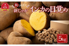【先行予約】秋とれたて 新じゃが インカの目覚め 5kg(2025年10月発送開始予定)北海道産じゃがいも ジャガイモ 【 じゃがいも いも イモ 芋 野菜 産地直送 旬 お取り寄せ 旭川市 北海道 】_03819