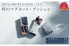枝のマグネット、プッシュピン各2本_03847