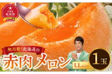 北海道産 赤肉メロン LLサイズ 1玉（計2.0kg以上）(2025年6月下旬から順次発送開始予定) 【 果物 くだもの フルーツ メロン 赤肉 赤肉メロン 旬 お取り寄せ 甘い 北海道産 旭川市 北海道 】_04564
