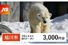 【旭川市】JTBふるさと旅行クーポン（Eメール発行）（3,000円分） 【 北海道 旭川 旅行 トラベル 宿泊 予約 人気 おすすめ 旭山 動物園 旭山動物園 ツアー ホテル 】
