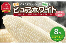 【先行予約】白いとうもろこしピュアホワイト 8本 2.4kg(2025年8月下旬～発送開始予定)【 人気 北海道産 糖度 生 野菜 スイートコーン 産地直送 バーベキュー BBQ コーン 旬 お取り寄せ 旭川市 北海道 送料無料 】_04559