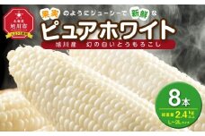 【2026年先行予約】白いとうもろこしピュアホワイト 8本 2.4kg（2026年8月下旬から発送開始予定）【 人気 北海道産 糖度 生 野菜 スイートコーン 産地直送 バーベキュー BBQ コーン 旬 お取り寄せ 旭川市 北海道 送料無料 】_04559
