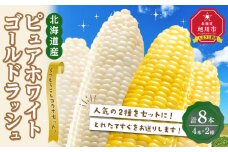【先行受付】とうもろこしコラボセット!　ピュアホワイト4本×ゴールドラッシュ4本（2025年8月下旬より発送予定）【 白いとうもろこし 人気 北海道産 糖度 生 野菜 スイートコーン 産地直送 バーベキュー BBQ コーン 旬 お取り寄せ 旭川市 北海道 】_04561