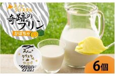 旭山 奇跡のプリン かぼちゃ 90 g 6 個_ 【 北海道 スノークリスタル プリン カボチャ 濃厚 低温殺菌 生乳 乳 スイーツ デザート おやつ お菓子 カップ プレゼント ギフト 旭川市 】04225