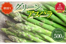【先行予約】朝採り グリーンアスパラ L 500g (2026年5月下旬発送開始) 【 アスパラ アスパラガス グリーンアスパラ 【先行予約】朝採り 直送 産地直送 旬 春 北海道 とれたて お取り寄せ 冷蔵配送 冷蔵 旭川市 】 _04657