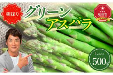 【先行予約】朝採り グリーンアスパラ L 500g (2026年5月下旬発送開始) 【 アスパラ アスパラガス グリーンアスパラ 【先行予約】朝採り 直送 産地直送 旬 春 北海道 とれたて お取り寄せ 冷蔵配送 冷蔵 旭川市 】 _04657