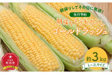 【26年先行予約】朝採り　とうもろこし　ゴールドラッシュ　約3kg（L～2Lサイズ× 8本）（2026年8月中旬から順次発送予定）【 人気 北海道産 糖度 生 野菜 スイートコーン 産地直送 バーベキュー BBQ コーン 旬 お取り寄せ 旭川市 北海道 】_04659