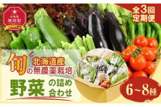 7・8・9月　計3回定期便　北海道産旬の無農薬栽培　野菜の詰め合わせ6～8種類 【 サニーレタス 水菜 チンゲンサイ さやえんどう スナップエンドウ さやいんげん ささぎ豆 春大根 ズッキーニ なす トマト きゅうり ししとう なんばん オクラ カボチャ じゃがいも にんじん 北海道産 無農薬栽培 野菜セット 季節の野菜 新鮮 お取り寄せ 野菜ボックス 安全 安心 野菜直送 人気 旭川市 】_04701