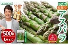 【2026年先行予約】露地物朝採りアスパラ　鮮度保持フィルム入り　Lサイズ　500g×1(5月中旬発送開始予定)【 アスパラ アスパラガス 朝採り とれたて 野菜 旬 小分け 保存 産直 産地直送 お取り寄せ 旭川市 北海道 】_04750