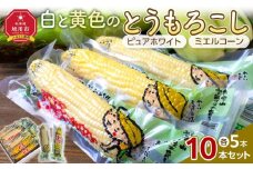 【先行予約/2025年10月中旬より順次発送】白と黄色のとうもろこし10本セット（真空パック）【 白いとうもろこし 人気 糖度 野菜 スイートコーン バーベキュー BBQ コーン お取り寄せ 旭川市 北海道 】_04804