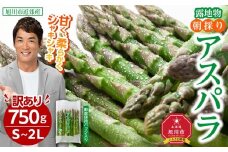 ◆2026年先行予約◆【訳あり】露地物朝採りアスパラ 750g×1 　鮮度保持フィルム入り(5月中旬発送開始予定) 【 アスパラ アスパラガス 朝採り とれたて 野菜 旬 小分け 保存 産直 産地直送 お取り寄せ 旭川市 北海道 】_04751