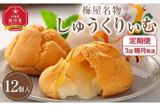 【定期便】梅屋名物「しゅうくりぃむ」　12個　（3回隔月発送） 【 シュークリーム 菓子 お菓子 おかし スイーツ デザート 洋菓子 旭川 北海道 人気 お楽しみ セット 食品 】_04856