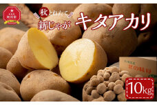 【先行予約】2025年10月より発送　新じゃが　キタアカリ　10kg　北海道産のじゃがいも 【 じゃがいも いも イモ 芋 野菜 産地直送 旬 お取り寄せ 旭川市 北海道 】_04857