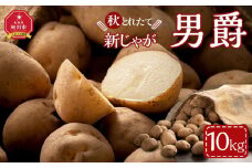 【先行予約】2025年10月より発送　新じゃが　男爵いも　10kg　北海道産のじゃがいも 【 じゃがいも いも イモ 芋 野菜 産地直送 旬 お取り寄せ 旭川市 北海道 】_04858