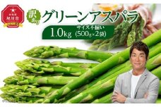 【先行予約】訳ありグリーンアスパラサイズ不揃い1kg（500g×2袋）2026年5月から発送開始予定 【 アスパラ アスパラガス 朝採り とれたて 野菜 旬 小分け 保存 産直 産地直送 お取り寄せ 旭川市 北海道 】_04841
