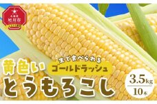 【先行予約】旭川近郊産　黄色いとうもろこし（ゴールドラッシュ）3.5kg（10本） 【 人気 北海道産 糖度 生 野菜 スイートコーン 産地直送 バーベキュー BBQ コーン 旬 お取り寄せ 旭川市 北海道 】 _04842
