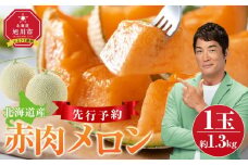  北海道産赤肉メロン約1.3kg×1玉 (2025年7月中旬から発送予定)【 果物 くだもの フルーツ メロン 赤肉 赤肉メロン 旬 お取り寄せ 甘い 北海道産 旭川市 北海道 】_05228