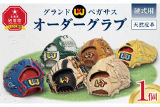 硬式用グランドペガサスオーダーグラブ 【 野球 グローブ 野球用品 オーダーメイド オーダー オーダーグローブ 北海道 旭川市 】_05058